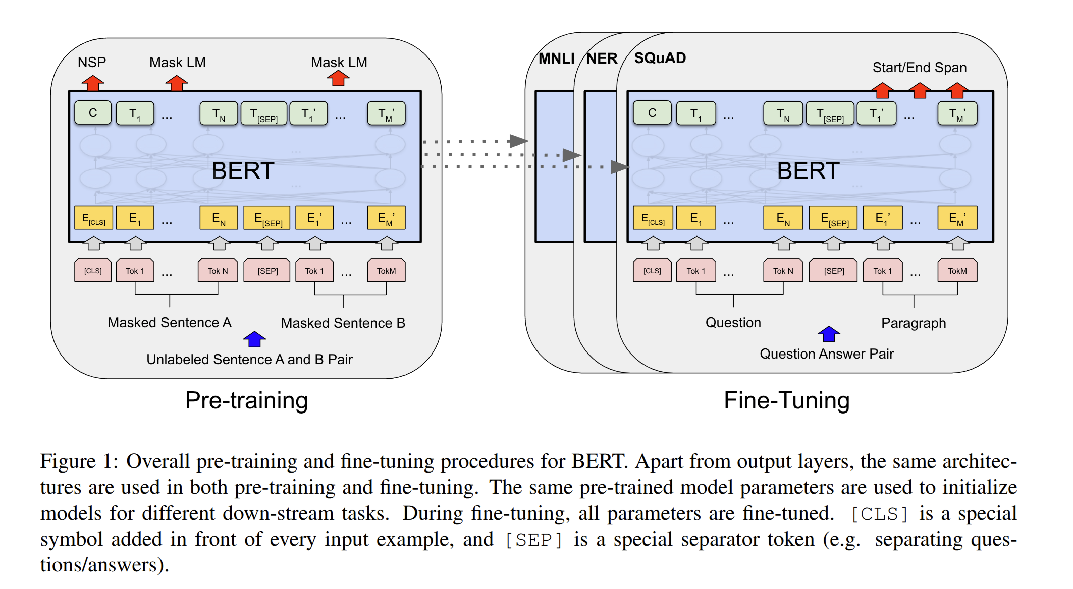 BERT 论文中的模型架构